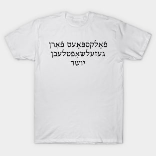 Social Justice Bard (Yiddish, Masculine) T-Shirt